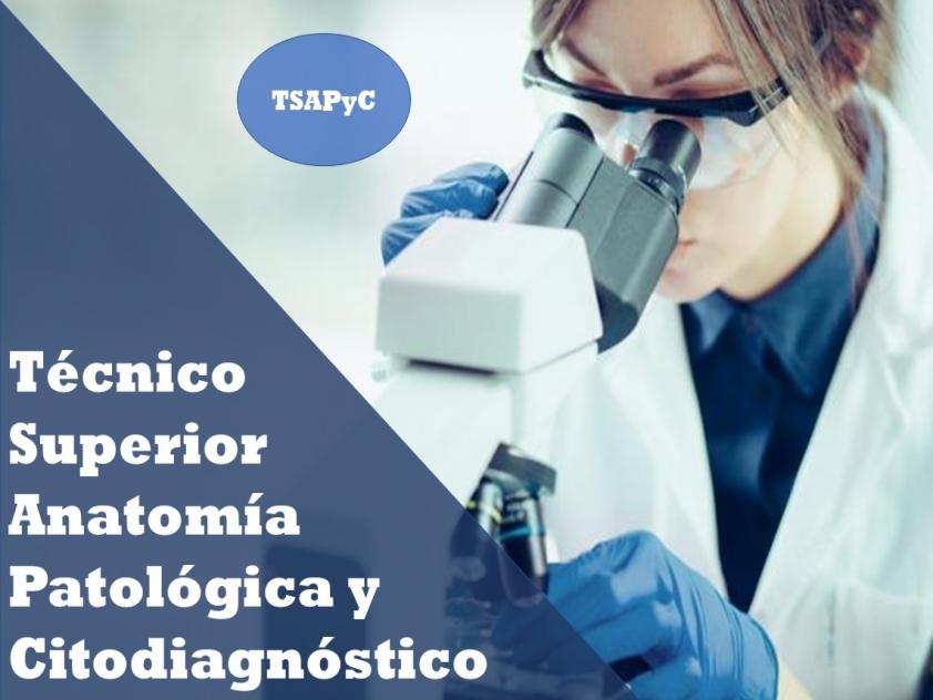 Curso de Preparación de Oposiciones para T.S. Anatomía Patológica y Citodiagnóstico