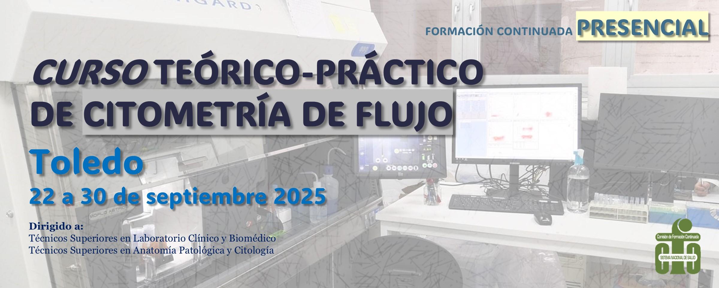 CursoToledo