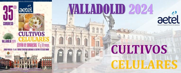 Congreso Valladolid 2024